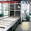 KR4-Rice Stick Production Line